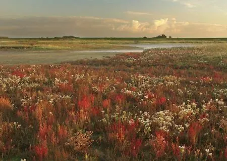 Residentie Mariposa アパート