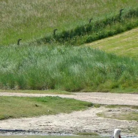 Residentie Mariposa アパート